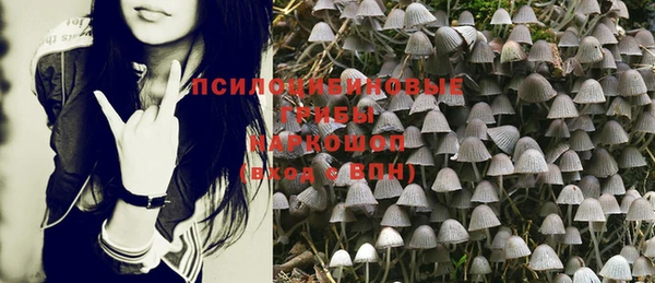 стаф Абинск