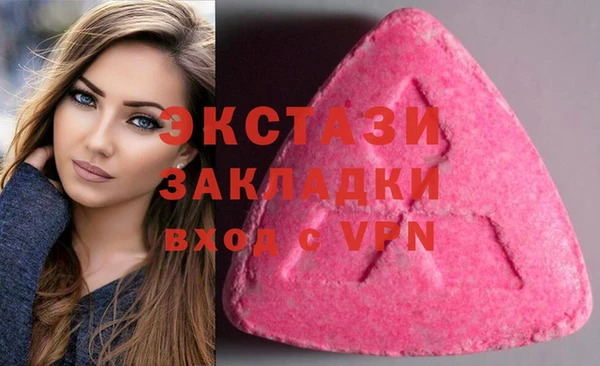ешки Алексин