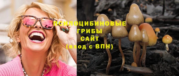 стаф Абинск