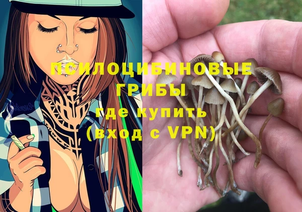 ешки Алексин